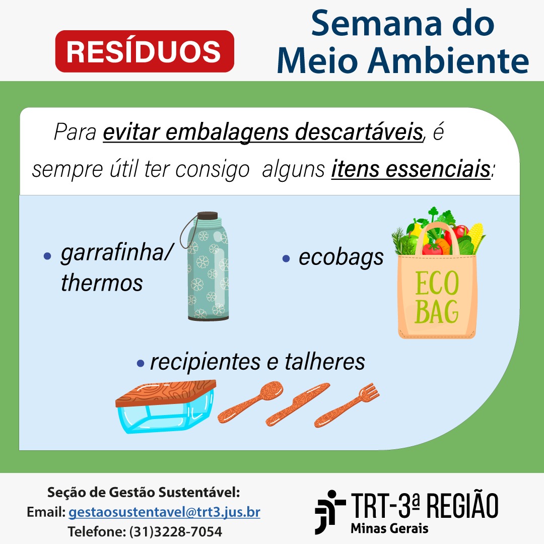Para evitar embalagens descartáveis é sempre bom ter alguns itens essenciais: 1) garrafinha / thermos - 2) Ecobags - 3) recipientes e talheres 