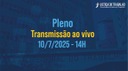 10 de Julho de 2025 - Tribunal Pleno e Órgão Especial