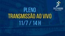 Pleno e Órgão Especial 12/07