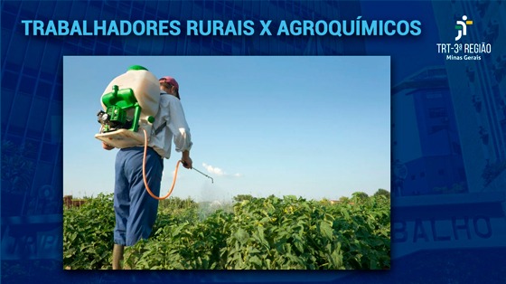 Trabalhadores rurais expostos aos agroquímicos podem desenvolver diversos problemas de saúde