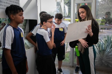 2026 0608 Erradicação-08.jpg