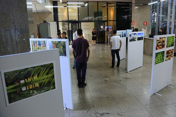 Calendario2020_Mostra-Fotografia-Brumadinho_03Nov2019_LA (1).jpg