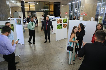 Calendario2020_Mostra-Fotografia-Brumadinho_03Nov2019_LA (18).jpg