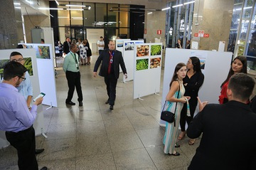 Calendario2020_Mostra-Fotografia-Brumadinho_03Nov2019_LA (19).jpg