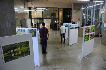 Calendario2020_Mostra-Fotografia-Brumadinho_03Nov2019_LA (9).jpg