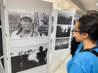 2025 0828 Exposição 11.jpg