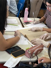 2022_0914_LabAtividadesJudiciais-TurmaA_UFMG_CidaCarvalhais (21).jpg