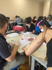 2022_0914_LabAtividadesJudiciais_UFMG_CidaCarvalhais (21).jpeg