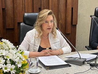 2023_0324_Ejud_LeisLetras_Livro-GeneroCadeiaDiscriminat_SamuelFerreira (29).jpg