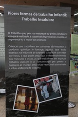 2022_1003_JustCidadania_TrabInfantil_MesdasCriancas_LeoAndrade (144).jpg