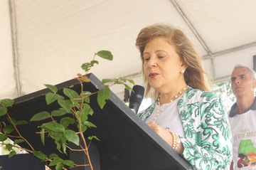 2025 1209 Plantio Nova Lima-7.jpg