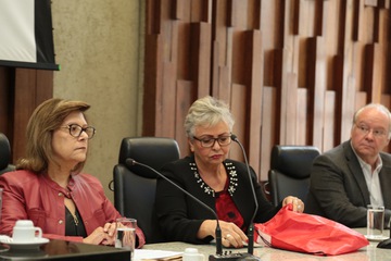 2018_0817_Seminario_saude_e_seguranca_TS (28).JPG