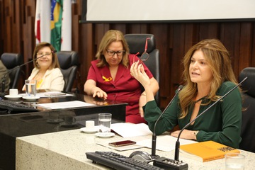 2018_0928_ seminário sobre mal-estar organizacional_MM (224).JPG