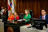 Corregedora-geral da JT apresenta ata da correição no TRT-MG