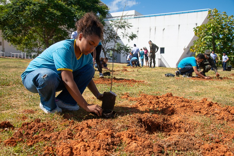 Alunos participam de ação de plantio de mudas