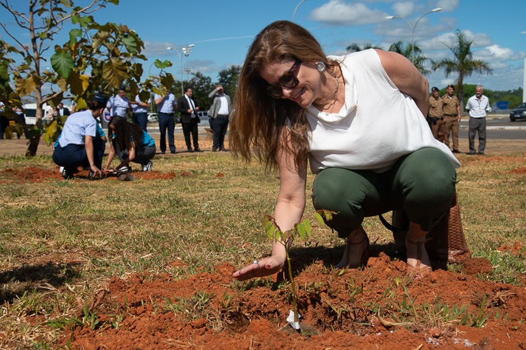 Júnia de Oliveira, chefe da Seção de Sustentabilidade e Inclusão, ajuda no plantio de mudas