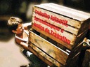 Comissão de Erradicação do Trabalho Infantil define ações em primeira reunião (imagem 1)