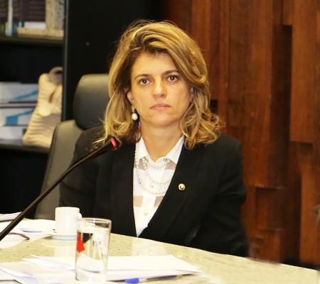 Procuradora do MPT fala sobre atuação da instituição frente à Copa do Mundo (imagem 1)