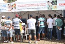 TRT presente na Ação Global combatendo trabalho infantil e acidentes de trabalho (imagem 3)
