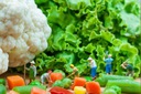 NJ Especial: Alimentação fornecida pelo empregador integra ou não o salário? (imagem 2)