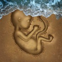 NJ Especial - Direitos da Mulher: A maternidade e os direitos que a protegem (imagem 14)