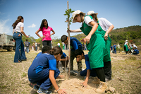 Projeto Verde Mais planta 200 mudas de árvores em Betim Projeto Verde Mais planta 200 mudas de árvores em Betim
