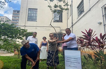 Plantio de Ipê no Centro Cultural marca encerramento do Projeto Verde Mais em 2025