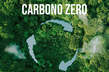 Arte de uma floresta com setas que remetem a sustentabilidade