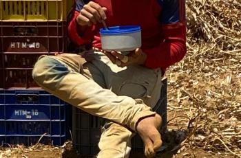 Imagem de homem descalço, usando calça jeans surrada, fazendo a refeição dele em uma marmita, rodeado de caixas, mato e poeira.