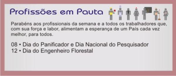 Turma nega a cobradora direito a adicional de insalubridade por vibração em ônibus (imagem 1)