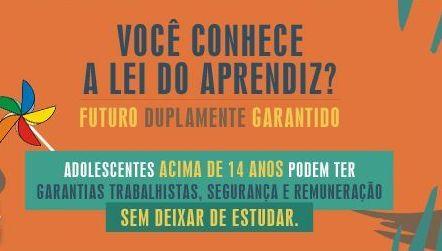 NJ Especial - Infância roubada: a triste realidade e os efeitos nefastos do trabalho infantil (imagem 5)