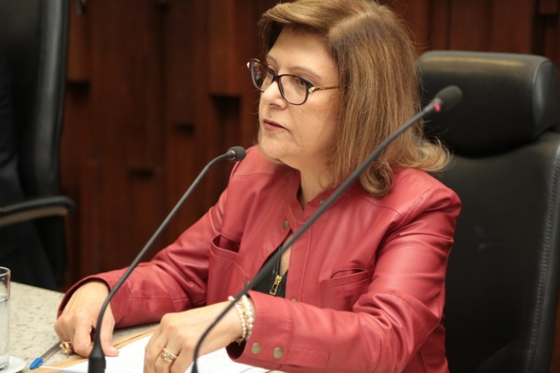 Desembargadora Denise Alves Horta, coordenadora e editora-chefe da Revista do TRT-MG, na atual gestão. (Foto: Leonardo Andrade)