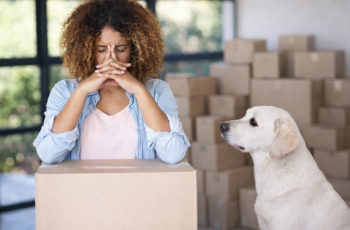 Foto de uma mulher tentando organizar muitas caixas de papelão em pouco espaço. Ela tem uma expressão de preocupação e impaciência. Há um cachorro branco, sentado de perfil, olhando preocupado para a mulher. Ele observa tudo.