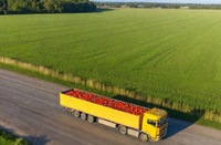 Justiça reconhece vínculo de emprego entre produtores rurais e ajudante de motorista que transportava verduras em Cordisburgo