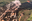 NJ Especial: Decisão da VT de Ouro Preto já tinha alertado sobre riscos de novos rompimentos de barragens em Minas Gerais