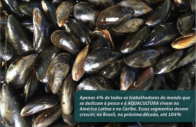 Foto com vários mexilhões. Sobre a foto, na parte infeior direita, há uma tarja transparente com a seguinte mensagem: Apenas 4% de todos os trabalhadores do mundo que se dedicam à pesca e à AQUACULTURA vivem na América Latina e no Caribe. Esses segmentos devem crescer, no Brasil na, próxima década, até 104%.