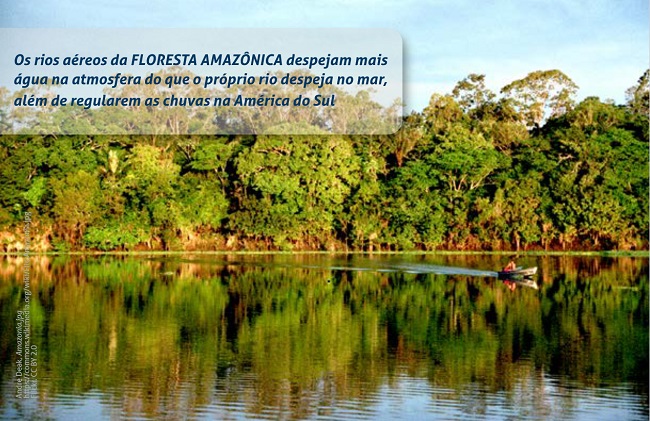 Foto de uma parte da floresta amazônica com um rio e muitas árvores ao fundo. No rio, há um homem dentro de uma pequena canoa. Sobre a foto, na parte superior direita, há uma tarja transparente com a seguinte mensagem: Os rios aéreos da FLORESTA AMAZÔNICA despejam mais água na atmosfera do que o próprio rio despeja no mar, além de regularem as chuvas na América do Sul. 