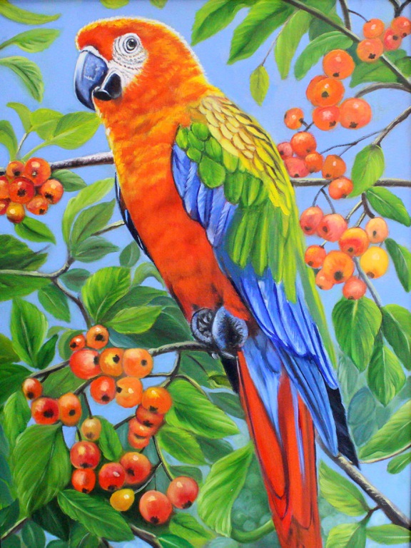 Pintura de uma arara pousada em uma árvore com frutinhas vermelhas