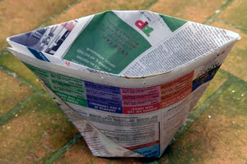 copy_of_fig_jornal_9.jpg -