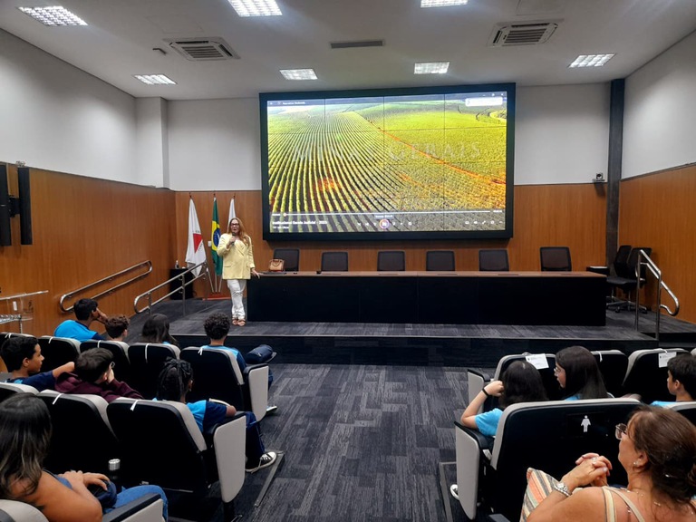 WhatsApp Image 2025-10-29 at 16.28.00.jpeg Menino Maluquinho