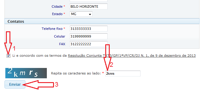 7.1. Marcar se concorda com os termos da regulamentação do SPE / SRRE  7.2 Repetir os caracteres da imagem  7.3 Clicar no botão "Enviar"