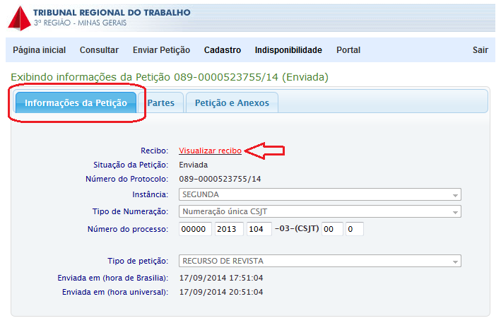 Esta página mostra as informações gerais cadastradas para a petição e um link para abrir o recibo.