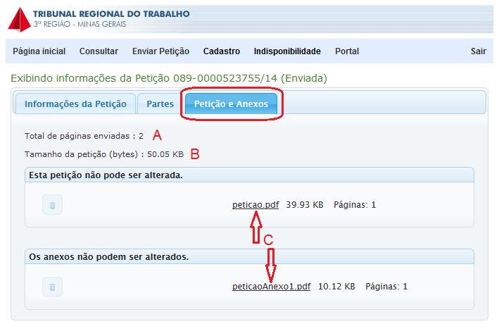 Aba Petições e Anexos