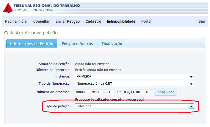 Selecionar o Tipo de petição.