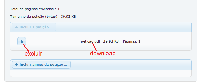  O documento PDF da petição aparecerá dentro da área da petição.