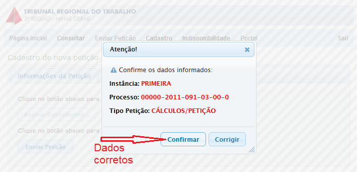 Clicar no botão Confirmar se os dados informados estiverem corretos.