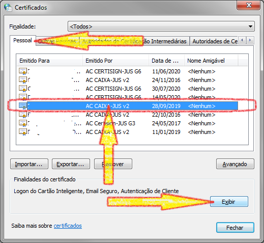 Clicar na aba Pessoal. Selecionar o certificado que deseja importar para o Firefox, clicando uma vez sobre o mesmo. Clicar no botão Exibir