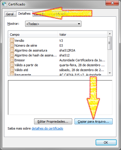 Clicar na aba Detalhes. Clicar no botão Copiar para Arquivo....