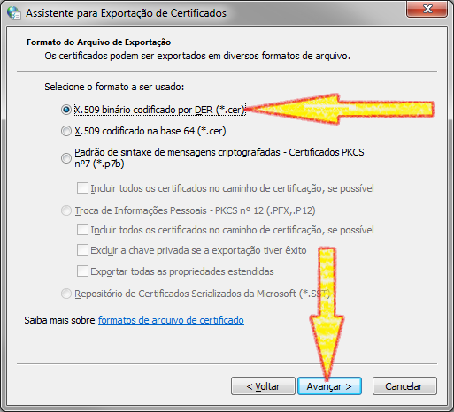Marcar a opção X.509 binário codificado por DER (*.cer). Clicar no botão Avançar....
