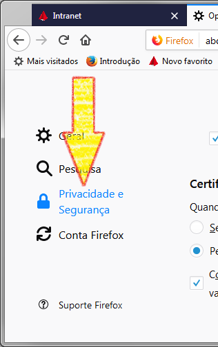 Clicar no grupo Privacidade e Segurança que fica na lateral esquerda da tela.